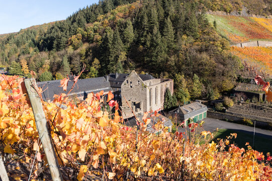 Herbst in den WEinbergen oberhalb des Klosters Marienthal