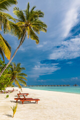 Obraz na płótnie Canvas Tropical beach in Maldives with palm trees and vibrant lagoon
