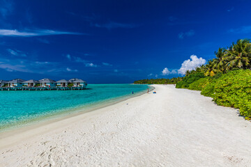 Fototapeta premium White sandy beach in Maldives with amazing blue lagoon
