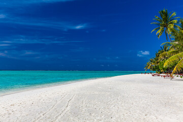 Fototapeta na wymiar Tropical beach in Maldives with palm trees and vibrant lagoon