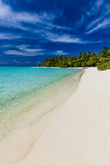 Tropical beach in Maldives with palm trees and vibrant lagoon