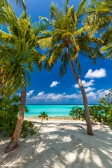 Fototapeten Tropical beach in Maldives with palm trees and vibrant lagoon © Martin Valigursky