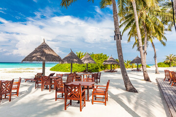 Tropical beach in Maldives with palm trees and vibrant lagoon