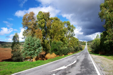 perspective of road in south of Portugal