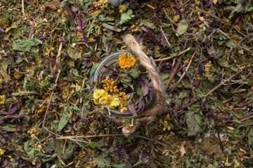 Dry Herbs Different Assortment Alternative Medicine
