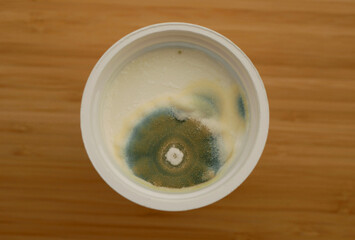 Mold cup yogurt growth east disgusting mould mildew green detail. Food product dairy product cream expired warranty period. Intended for disposal waste bin. Close-up bacteria health risk listeriosis