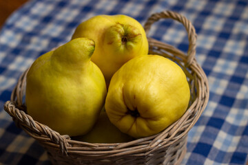 basket with quinces on a tea towel