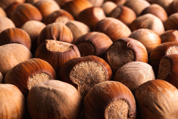 Ripe unpeeled hazelnuts as a background. Nuts as an antioxidant and protein source for ketogenic diet and vegetarianism. Macro photography.