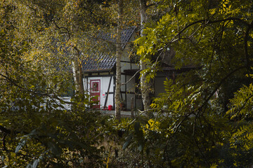 Fachwerkhaus hinter grünen Blättern