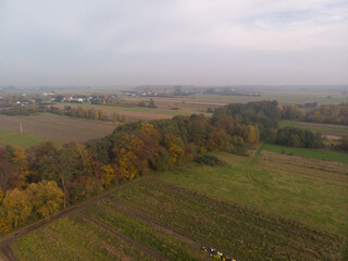 Fototapeta na wymiar Jesienny krajobraz Mazowsza/Autumn landscape of Mazovia, Poland