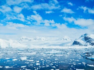 Antartctic Bay with Broken Shelf Ice and View of Snowy Mountains