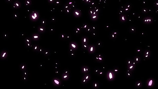 cherry blossom particle animation 