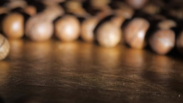 Australian walnut close-up. Macadamia nuts roll over to other orchids in a dark room against a dark background. Water drops fall on the nuts. Large brown macadamia nuts are on the table.