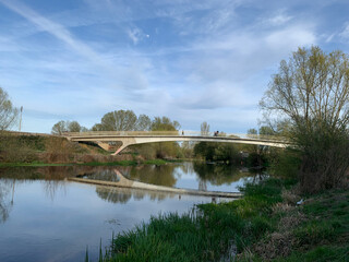 Obraz premium bridge in the park