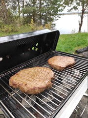 grilled meat on the grill