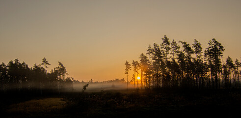 Fototapeta premium Autumn sunset with fog