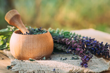 Salvia pratensis , meadow clary or meadow sage purple fresh flowers near mortar with cooked dried herb. Medicinal herbs. self-medication. Collecting herbal plants for medicine and cosmetology