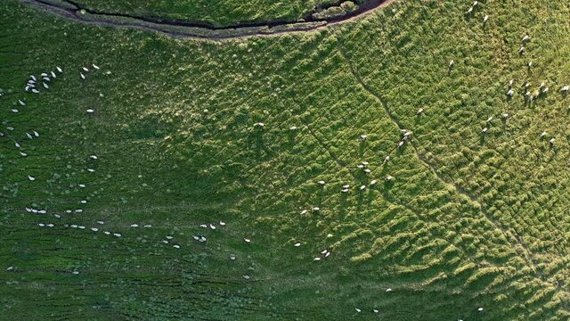 puy de Sancyet mont-dore en Auvergne