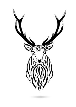 The head of a deer. Vector illustration