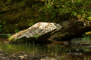 Bell Smith Springs
