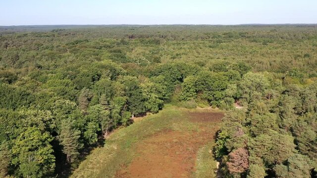 survol de la For&ecirc;t de Rambouillet