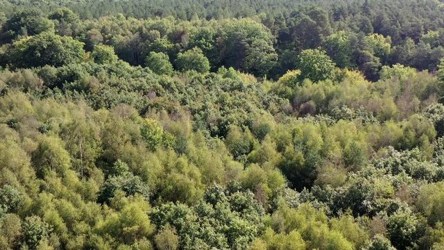 survol de la For&ecirc;t de Rambouillet