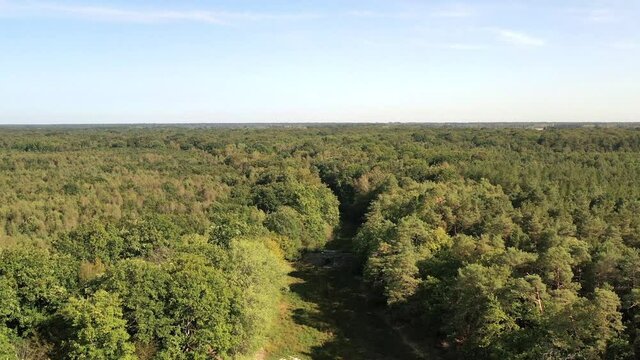 survol de la For&ecirc;t de Rambouillet