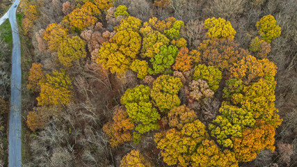 Random Fall Foliage Beautiful Images - aerial