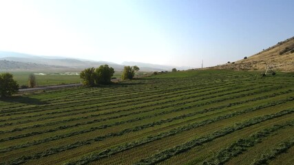 Drone flying over freshly plowed alfalfa fields