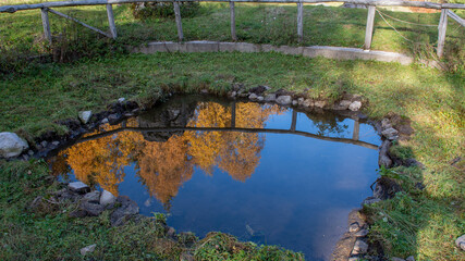  pond where nature is reflected