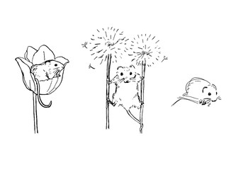 小さな可愛い動物:カヤネズミのスケッチイラスト素材セット