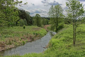 View of the green river valley and forest.