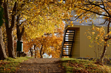 Path in the autumn park