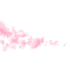 Fototapeta na wymiar Sakura petals falling down. Romantic pink flowers 