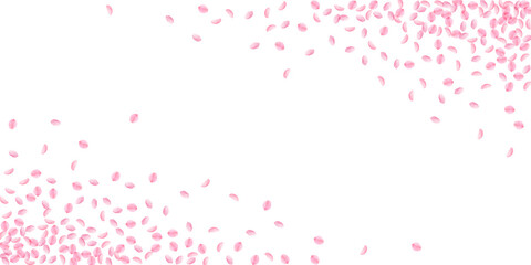Sakura petals falling down. Romantic pink silky sm