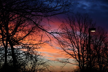 Fototapeta na wymiar Colors of nature during sunrise