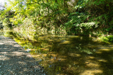 Obraz premium shallow stream is flow in countryside of Fukuoka prefecture, JAPAN.