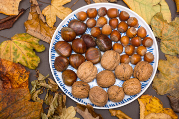 autumn still life with nuts
