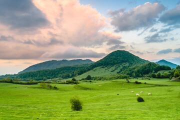 Beautiful landscape (Valley of Tavert, near the Peak of Puigsacalm, Catalonia, Spain)