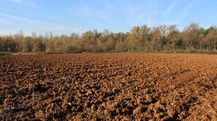 Paesaggio autunnale colorato di mille sfumature in una giornata di Novembre