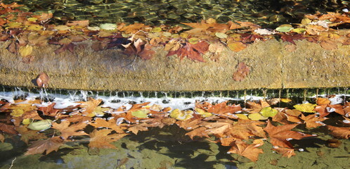 Foglie cadute nella fontana in un parco in autunno