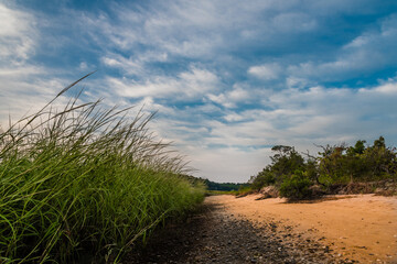 sand dunes on the beach © Jay