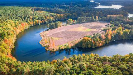 Stunning turning river and autumn forest at sunset, aerial view