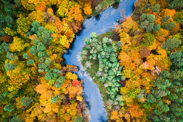 Top down view of autumn forest and river, aerial view