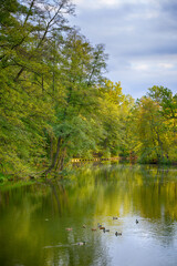 Fototapeta na wymiar Lake surrounded by autumn forest. Kyiv. Ukraine. Pushcha-Voditsa recreational zone.