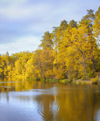 Lake surrounded by autumn forest. Kyiv. Ukraine. Pushcha-Voditsa recreational zone.