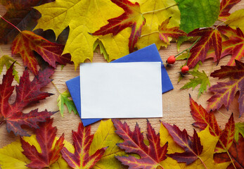 Background for autumn season, hello autumn theme or autumn memories.