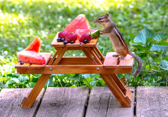 chipmunk has a small picnic with fresh fruit and a tiny wood picnic table 