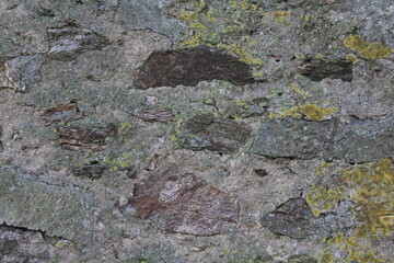 Unregelmäßige Natursteinmauer