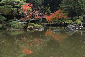 紅葉の風景